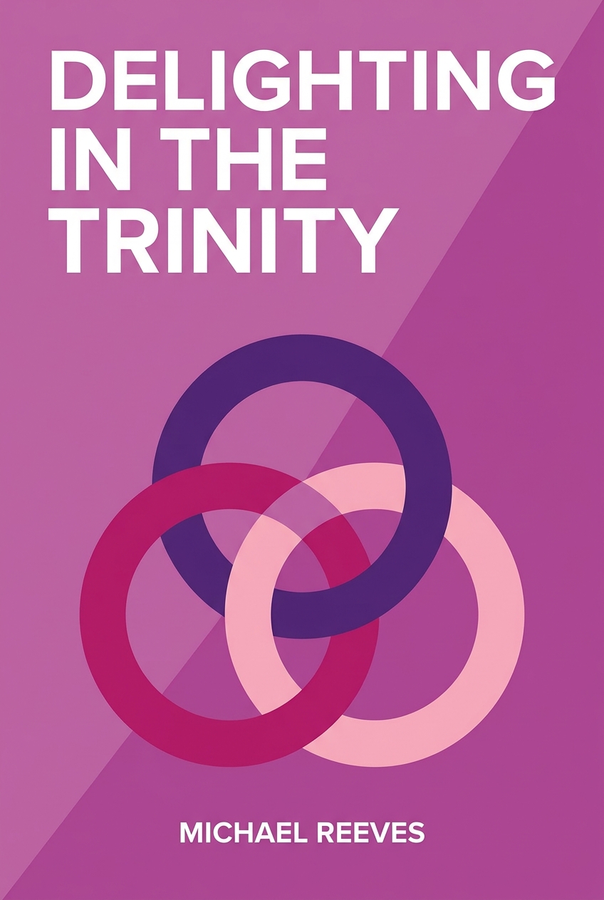 Delighting in the Trinity book cover