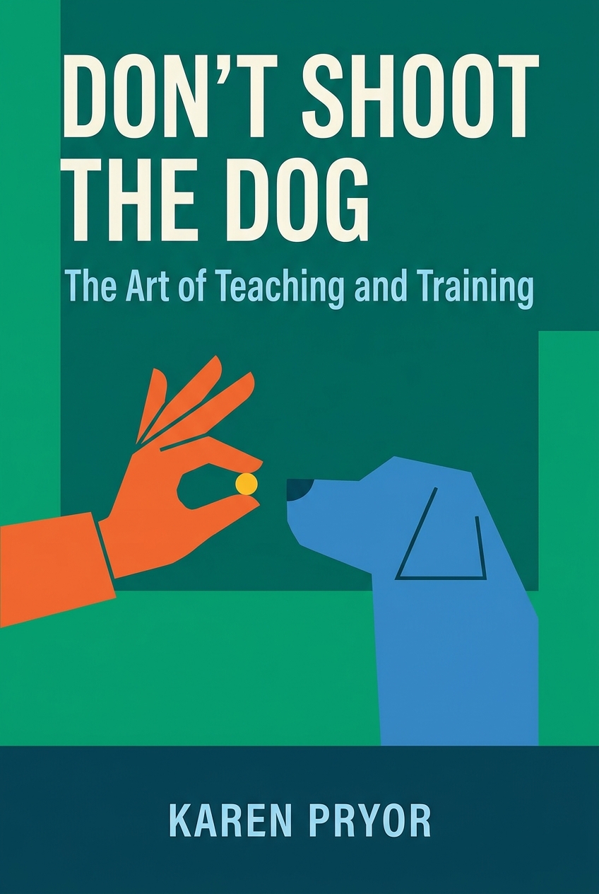 Don't Shoot the Dog cover