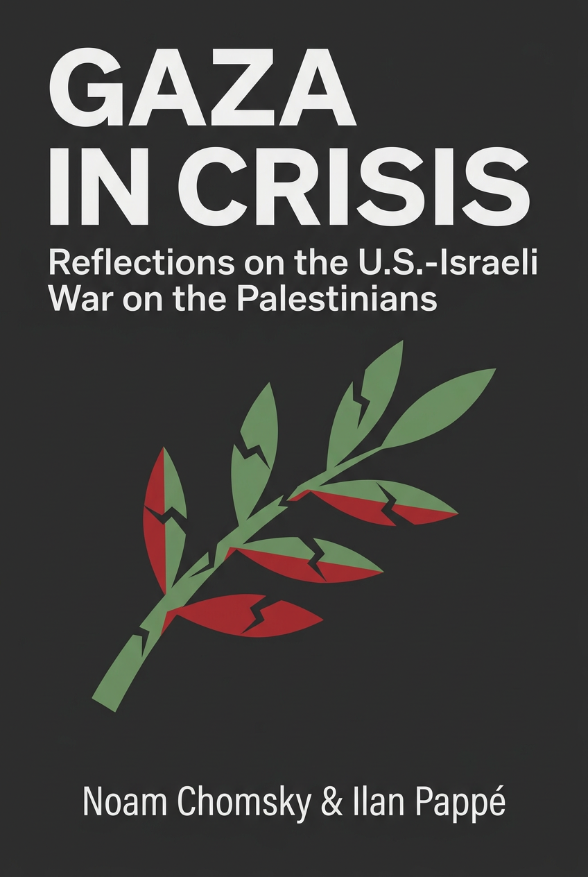 Gaza in Crisis book cover