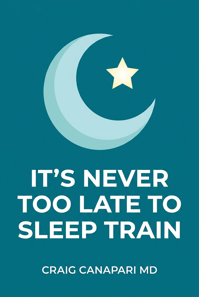 It's Never Too Late to Sleep Train cover