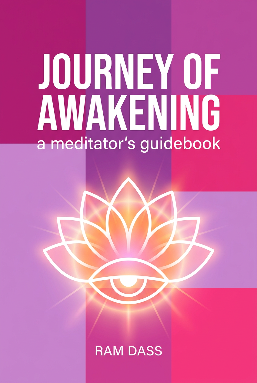 Journey of Awakening cover