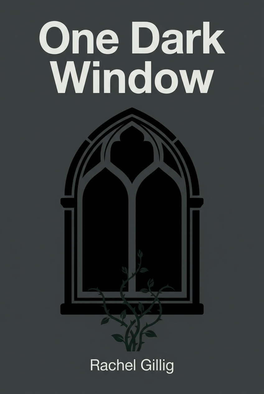 One Dark Window book cover